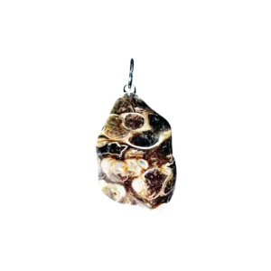 pendentif agate fossile pierre roulee 01.jpg