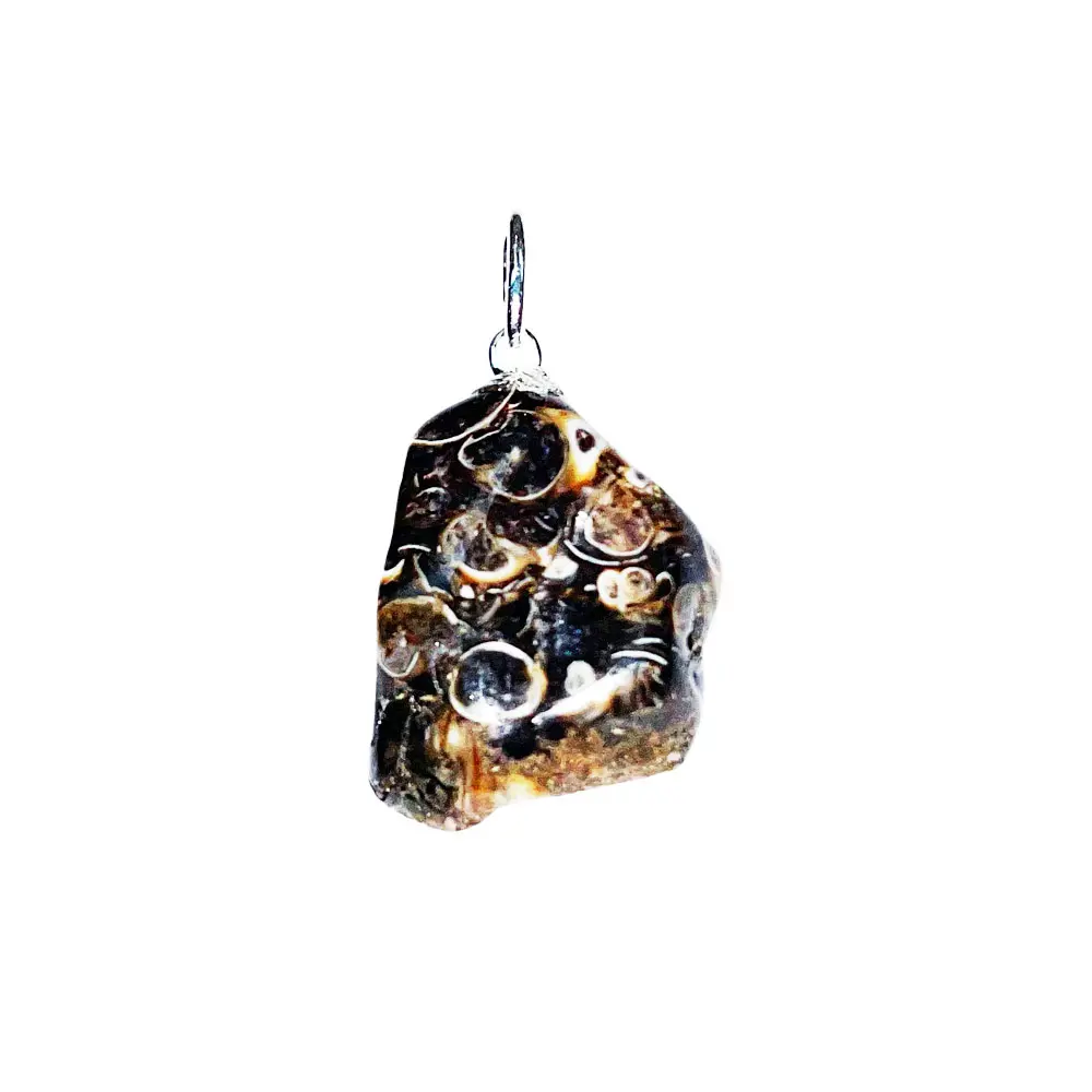 pendentif agate fossile pierre roulee 02.jpg pendentif agate fossile pierre roulee 02.jpg