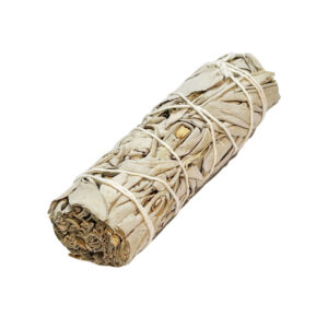 sauge blanche apiana 11cm 01