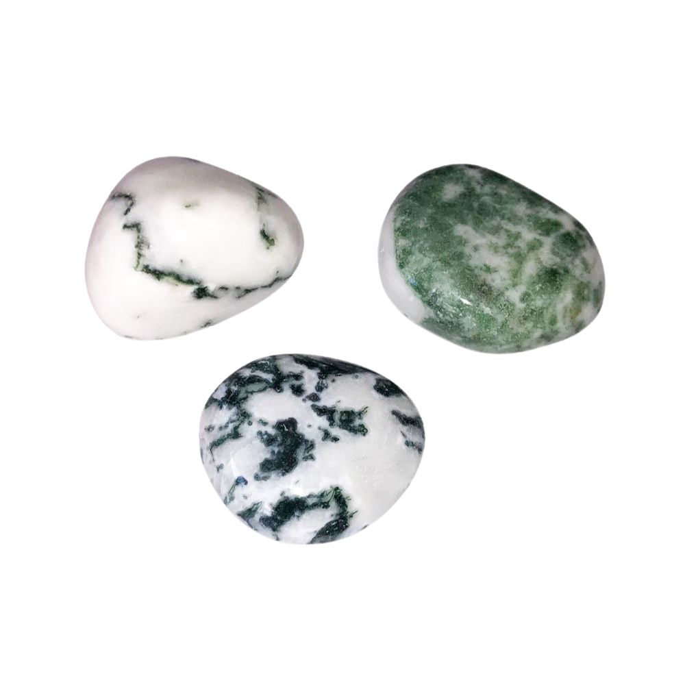 pierre agate arbre