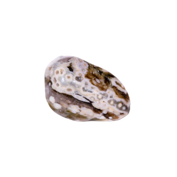 pierre agate fossile