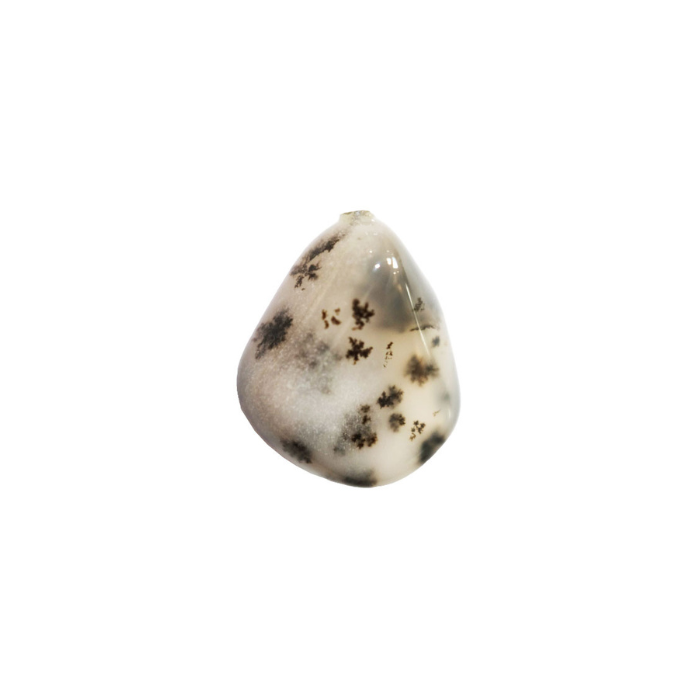 pierre agate dendrite